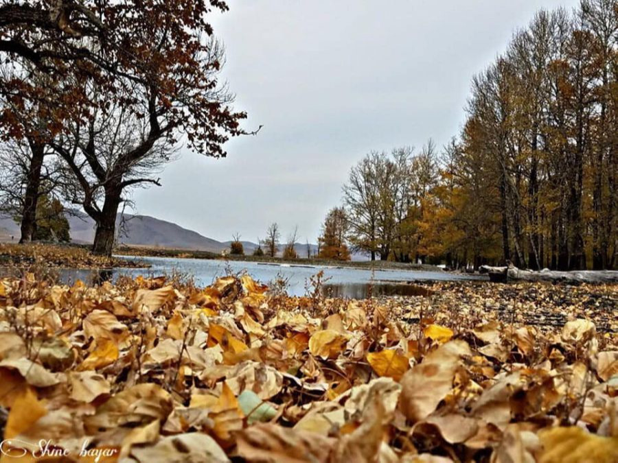 Өнөөдөр ихэнх нутгаар хур тунадас орохгүй